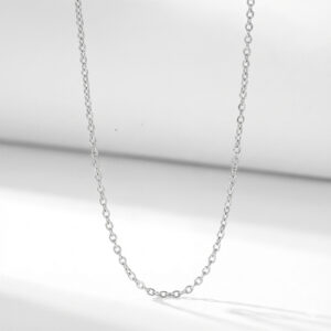 Сребърен синджир Сребърна класика